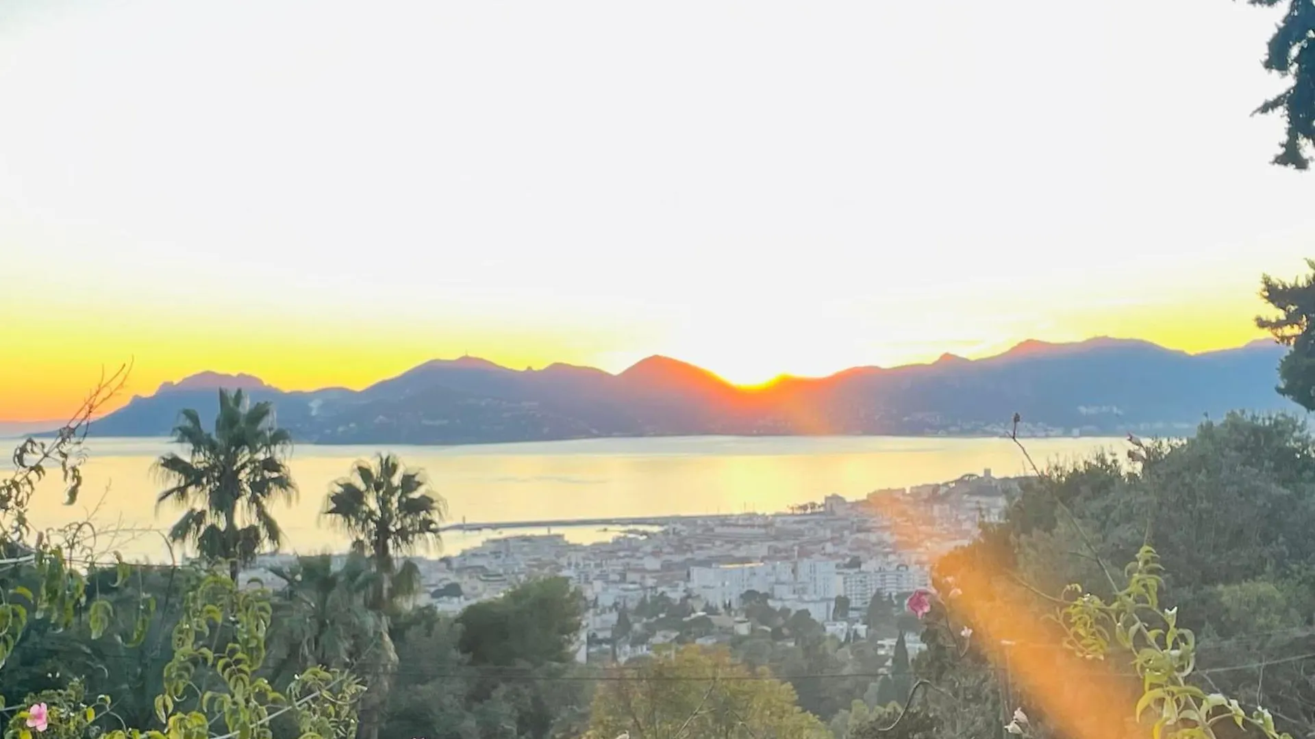 Cannes Splendid 1Br In New Residence - Palais 3 Mns 0*,  France